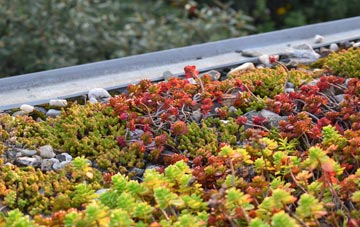 the cost of Llanrhian green roof installation
