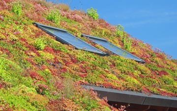 Llanrhian living roof systems